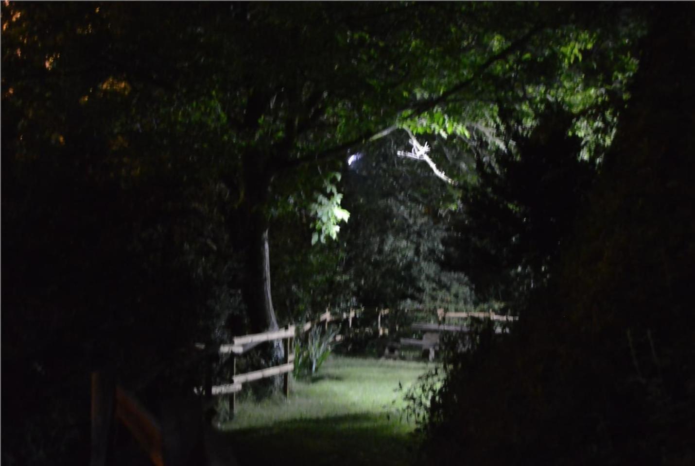 La Vinaza Ordesa Ainsa Casa Rural Laspuña Exteriör bild